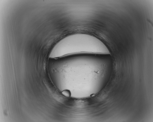 X0000099960315200805231033