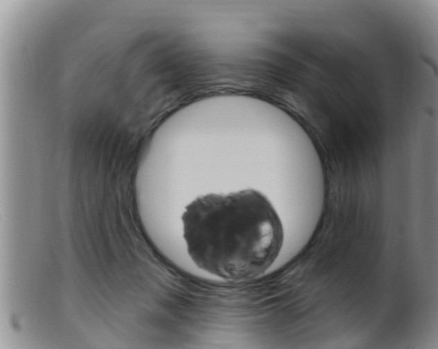 X0000099960317200805231033