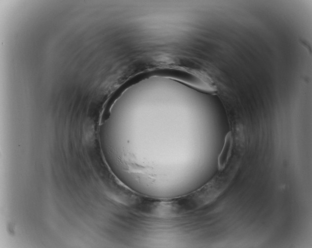 X0000099960320200805231033