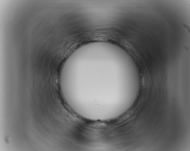 X0000099960322200805231033