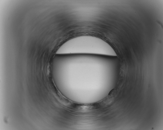 X0000099960323200805231033