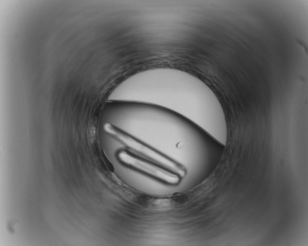 X0000099960324200805231033