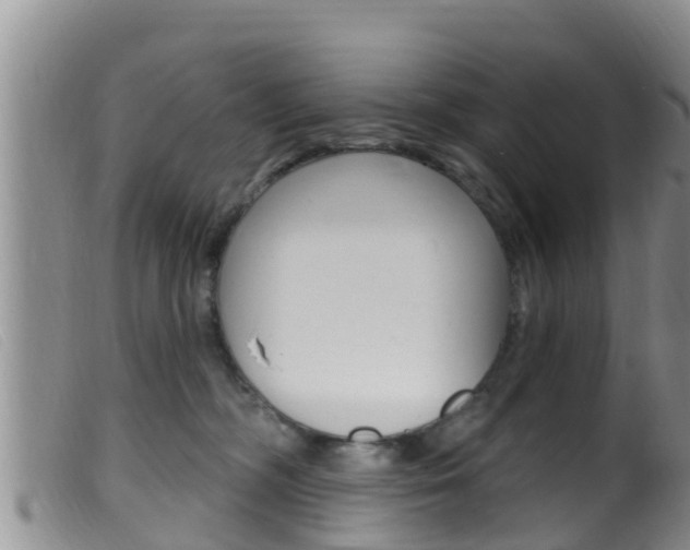 X0000099960326200805231033