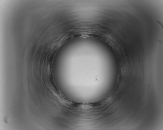 X0000099960327200805231033