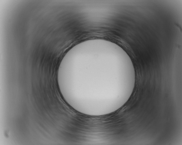 X0000099960329200805231033
