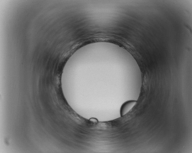 X0000099960330200805231033