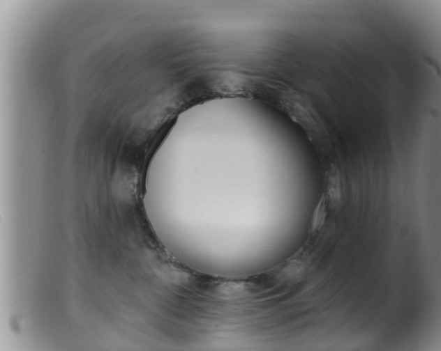 X0000099960332200805231033