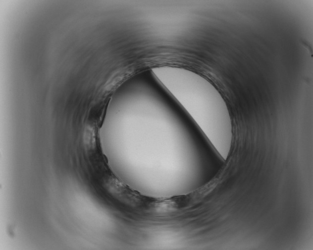 X0000099960333200805231033