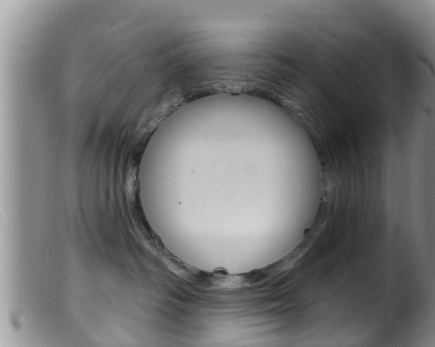 X0000099960334200805231033