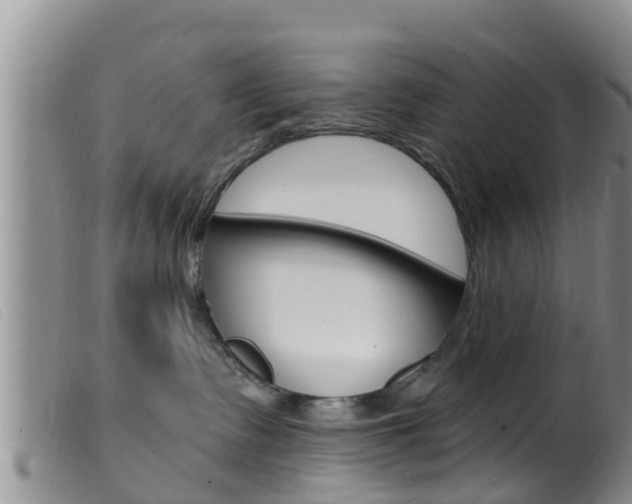 X0000099960335200805231032