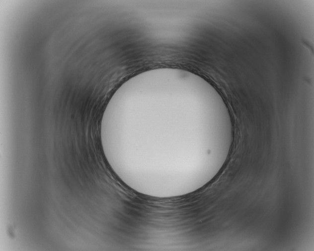 X0000099960336200805231032