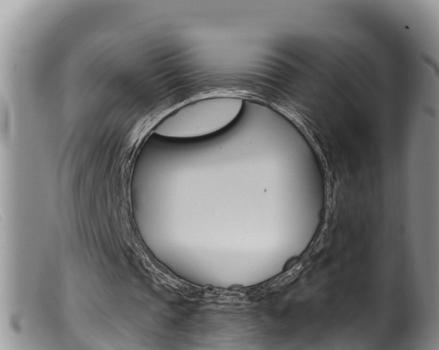 X0000099960337200805231032