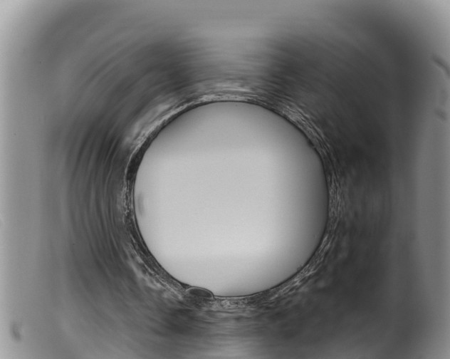 X0000099960338200805231032