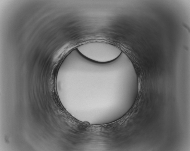 X0000099960339200805231032