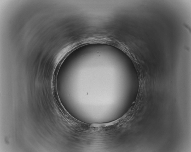 X0000099960340200805231032