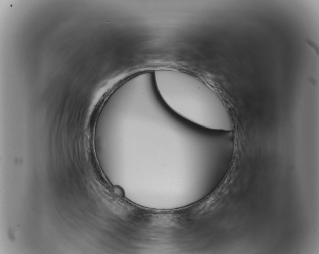 X0000099960342200805231032