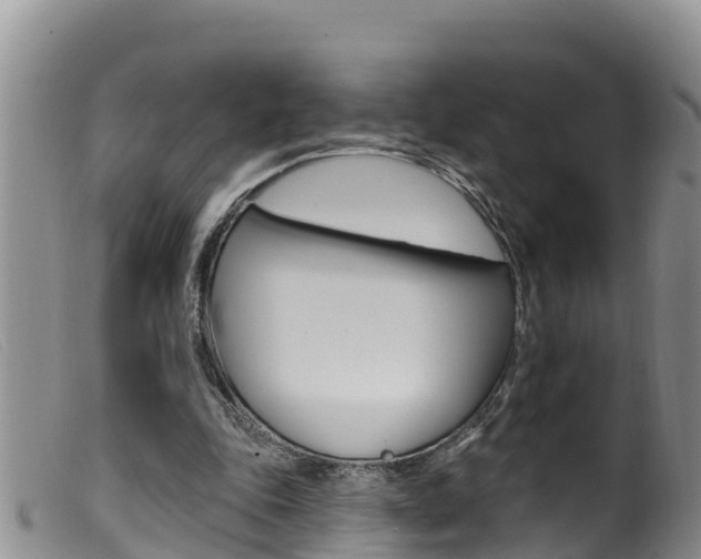X0000099960343200805231032