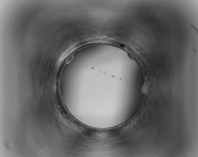 X0000099960344200805231032