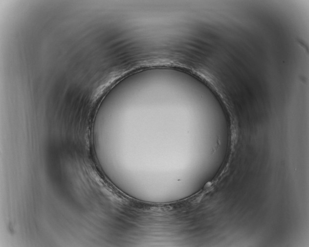 X0000099960345200805231032