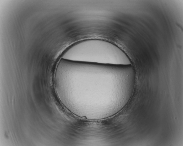 X0000099960347200805231032