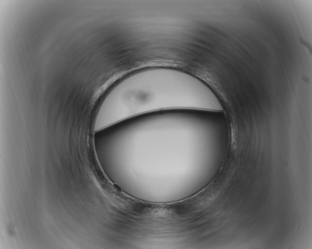 X0000099960348200805231032