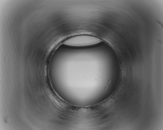X0000099960350200805231032