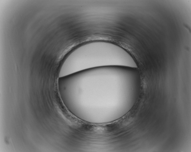 X0000099960352200805231032