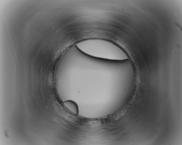 X0000099960353200805231032