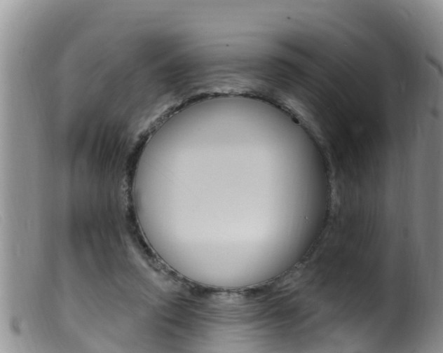 X0000099960354200805231032