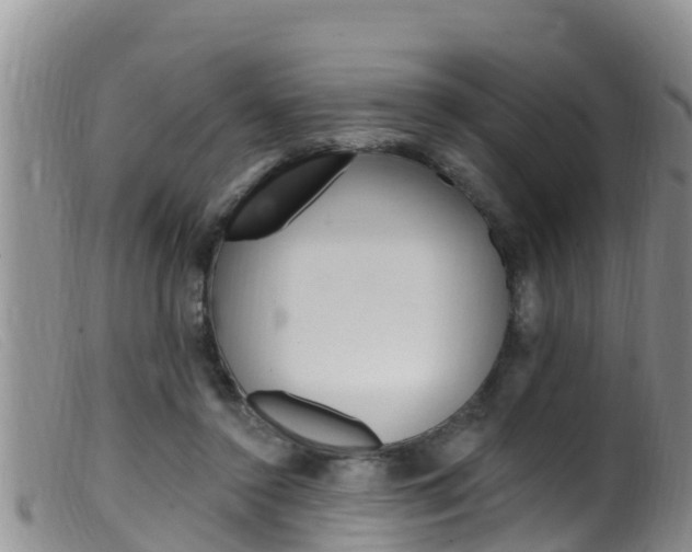 X0000099960356200805231032