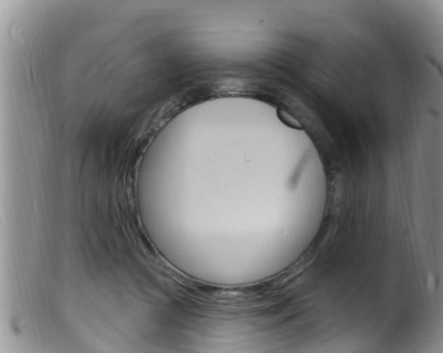 X0000099960361200805231032