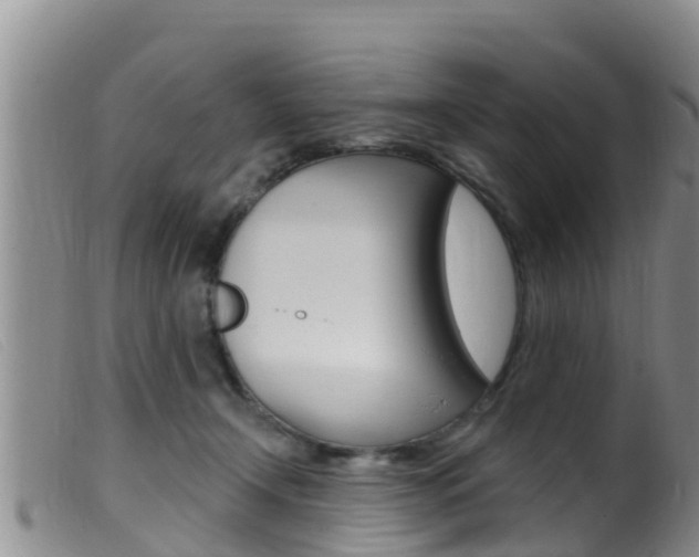 X0000099960366200805231032