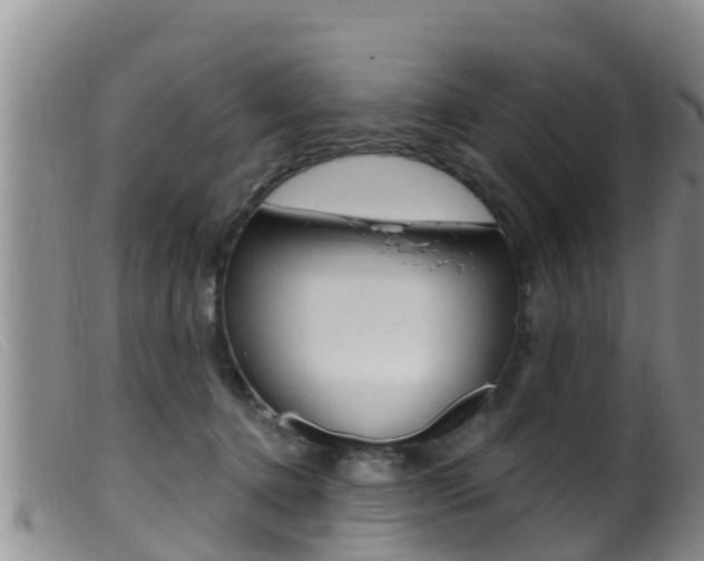 X0000099960368200805231032