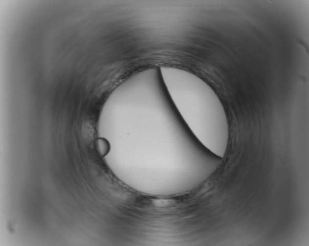 X0000099960371200805231032