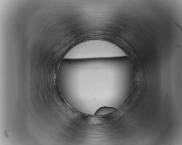 X0000099960372200805231032
