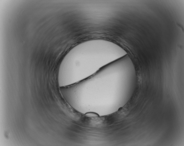 X0000099960373200805231032