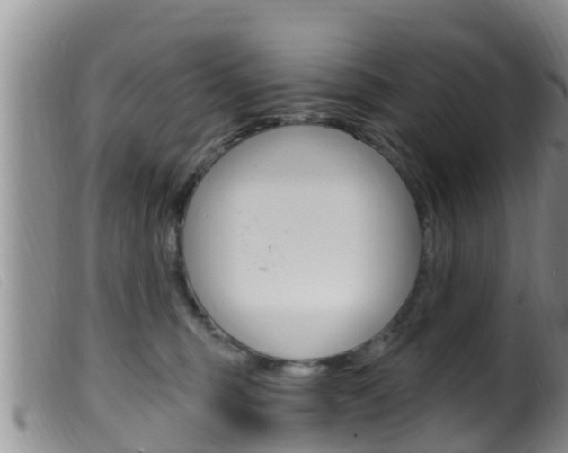 X0000099960375200805231032