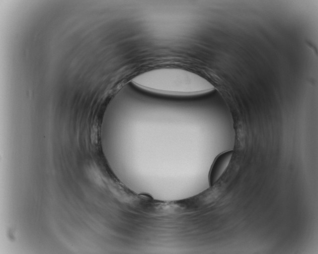 X0000099960379200805231032