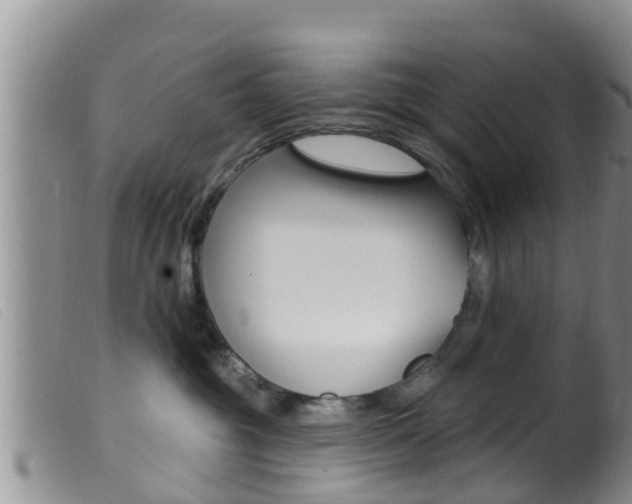 X0000099960381200805231032