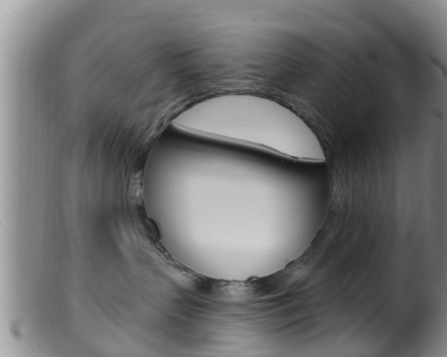 X0000099960383200805231032