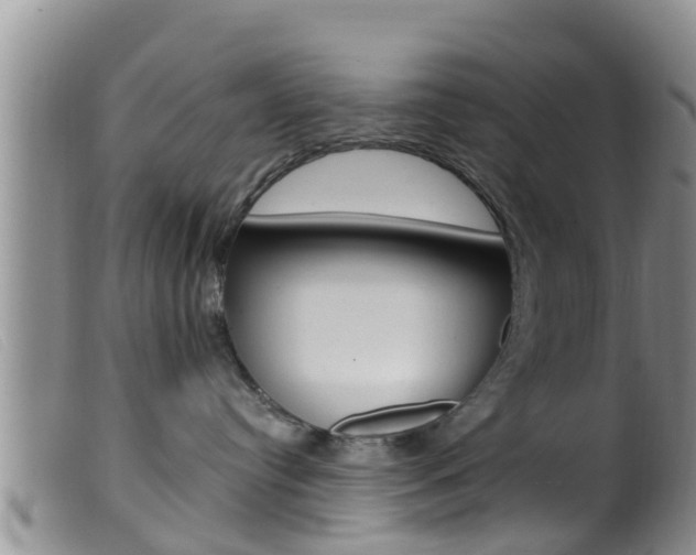 X0000099960384200805231032