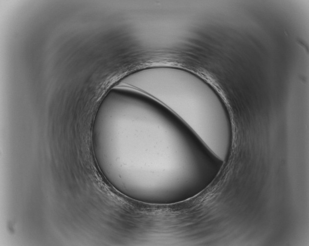 X0000099960385200805231032