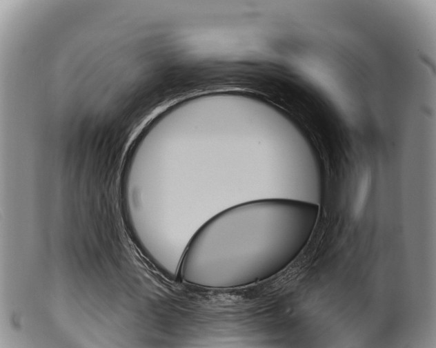 X0000099960387200805231032