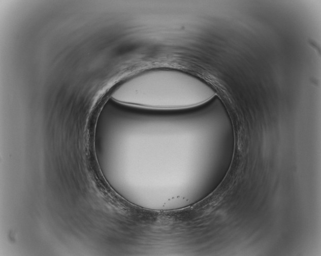 X0000099960388200805231032