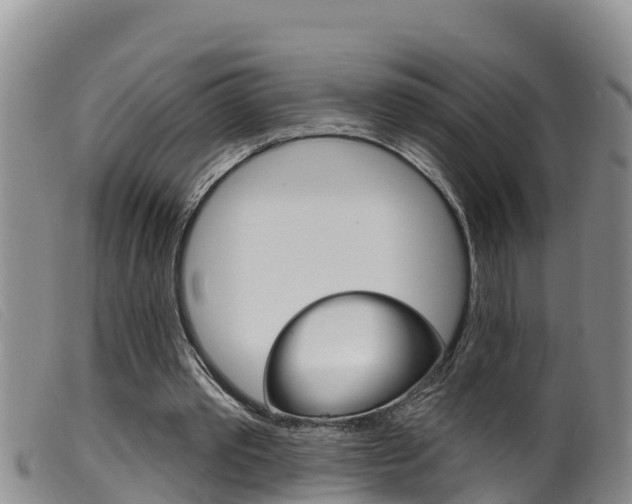 X0000099960389200805231032