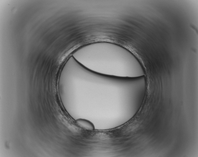 X0000099960390200805231032