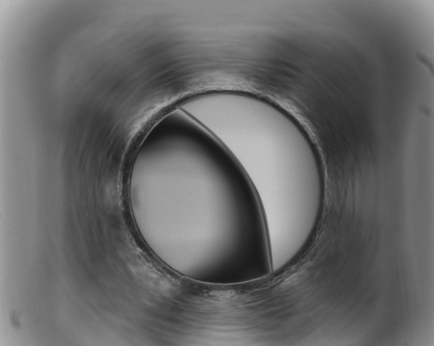 X0000099960391200805231032