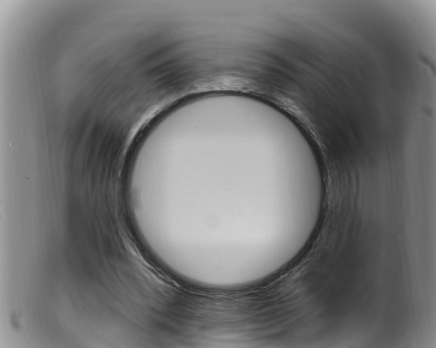X0000099960392200805231032