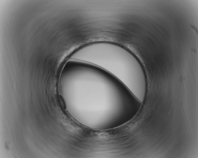 X0000099960395200805231032
