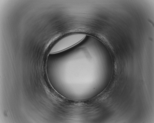 X0000099960396200805231032